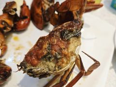 招牌煎蟹-莲花公园煎蟹(总店)