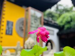 -寒山寺