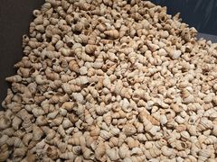 -昆明市博物馆(昆明市文物保护和考古研究中心)