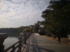 -海珠湖公园