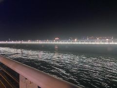 -演武大桥观景平台