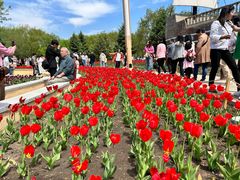 -长春公园(普阳街道)