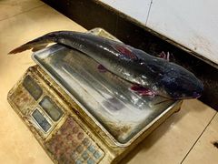 -秦巴石锅鱼(文化南路店)