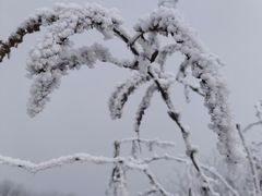 -九峰山