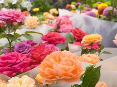 -双季花艺园艺市场(浦东店)