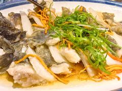 -琼菜王(南海店)
