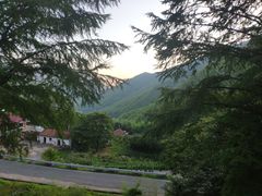 -湖州龙王山景区