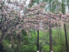 -成都南湖公园