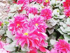 -苏州河梦清园环保主题公园