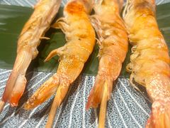 -傑·料理·海鲜放题(佛山文华荟店)