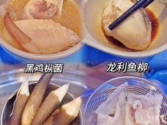 -千岛蚝高压锅生蚝·人参火锅(白云万达店)