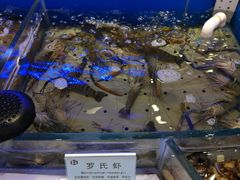 -澜悦港海鲜体验主题餐厅