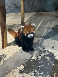 -Zoolung Zoolung动物主题公园(海信广场店)