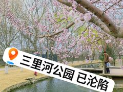 -三里河公园