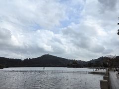 -顺峰山公园