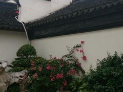 android_upload_pic-檀园