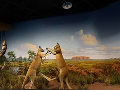 -陕西自然博物馆