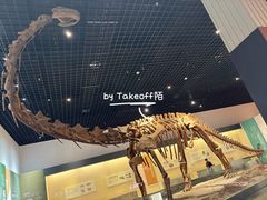 -衢州市博物馆