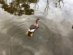 -昆明动物园