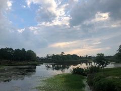 -贡湖湾湿地公园