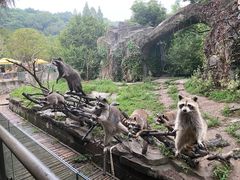 -宁波野生动物园