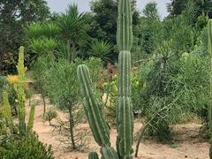 -东莞植物园