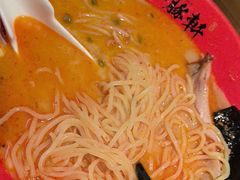 -一豚轩·烧鸟·豚骨拉面(五四路店)