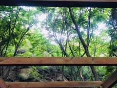 -大岭沟猕猴桃谷风景区