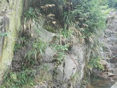 -长谷洞天