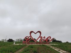 -西京湾花海