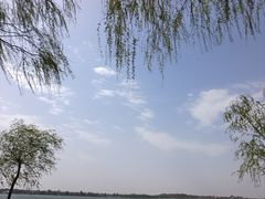-丁香湖公园