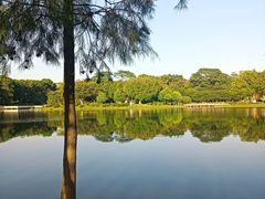 -东莞植物园