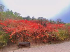 -南翠屏公园