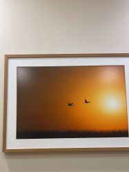 -北京米扬丽格医疗美容·联合丽格鼻整形中心