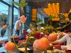 -天瑞轩·粤菜餐厅