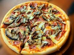 -百好乐宠物友好餐厅(朝外大街店)