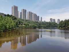 -重庆彩云湖湿地公园
