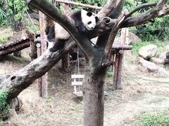 -宁波野生动物园