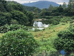 -天强农家菜馆