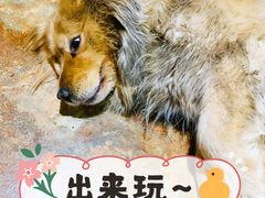 -柳沟豆腐宴69号福豆堂
