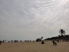 -东海岛旅游度假区