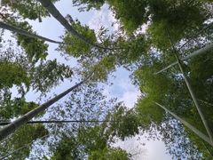 -同里国家湿地公园