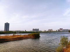 -长白岛森林公园