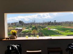 -翠田Green Field Kitchen