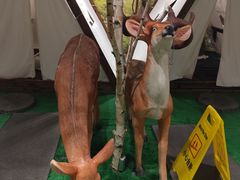 -东方之珠洗浴休闲广场(南开店)