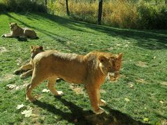 -北京野生动物园