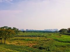 -盘龙城国家考古遗址公园