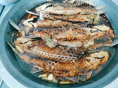 水库鱼-北京龙庆四季香农家饭庄·灶台鱼·碳烤虹鳟鱼(龙庆峡店)