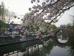 -常熟方塔园
