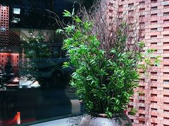 -君悦酒店·1881·北京烤鸭